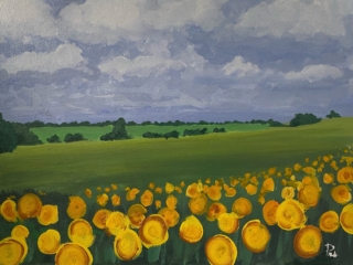 Sunflowers