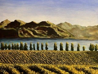 Fields by the lake
