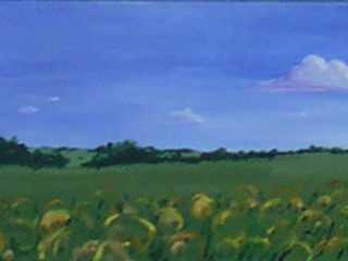 Windy Meadow