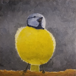 Yellow Breasted Blue Tit