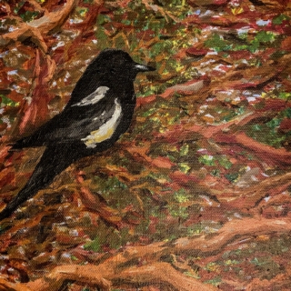 Magpie