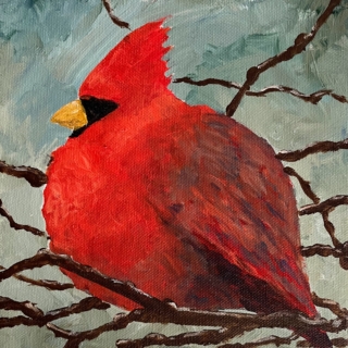 Northern Cardinal